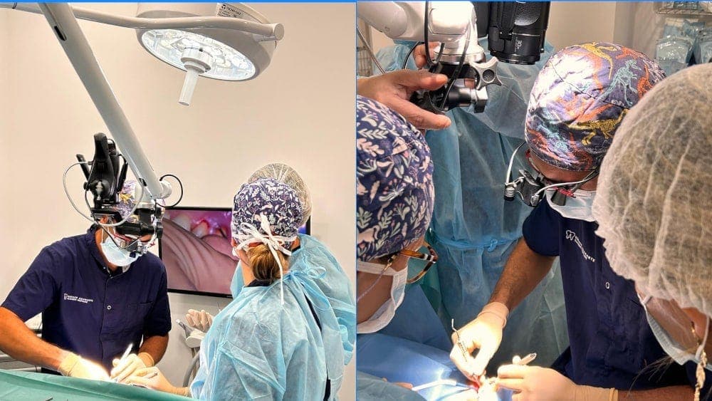 Formation implantologie orale Gard chirurgies en directes